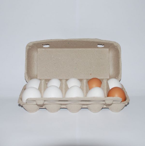 hofladen schoeckl eier